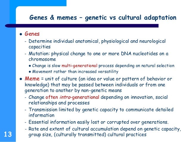 storyboard for \ storyboard for an evolutionary hypothesis for the origins of sociotechnical humans and their organizations 13 638?cb=1451371986 storyboard for \
